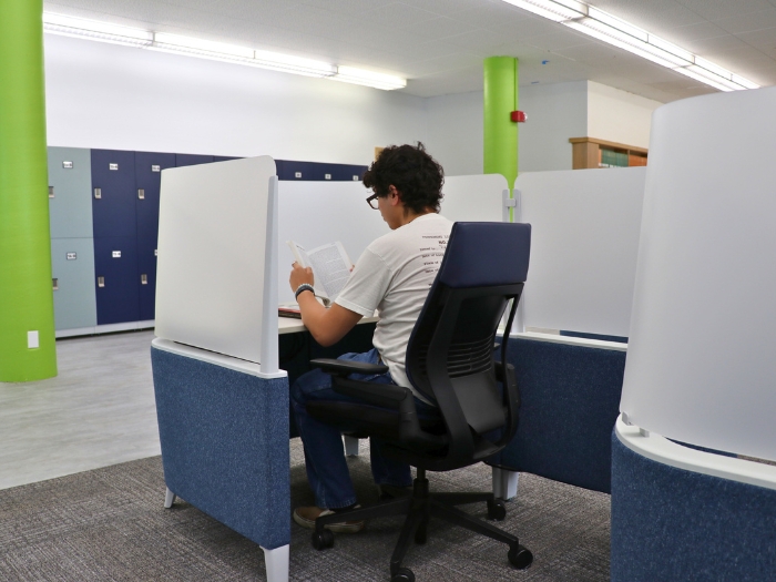 Graduate Study Wing Semi Enclosed Desk 1