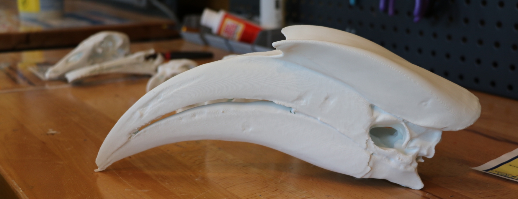 3d printed hornbill skull on a Creat'R Lab Makerspace workbench. 