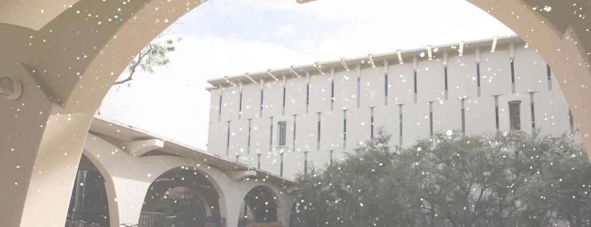Image of the Rivera Library with snow falling