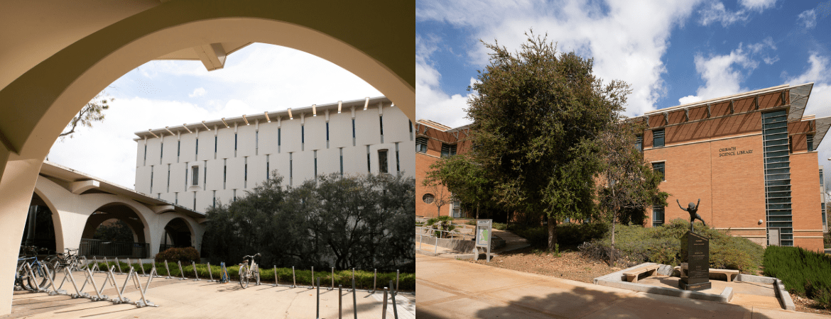 Image of Rivera Library (left) and Orbach Library (right)