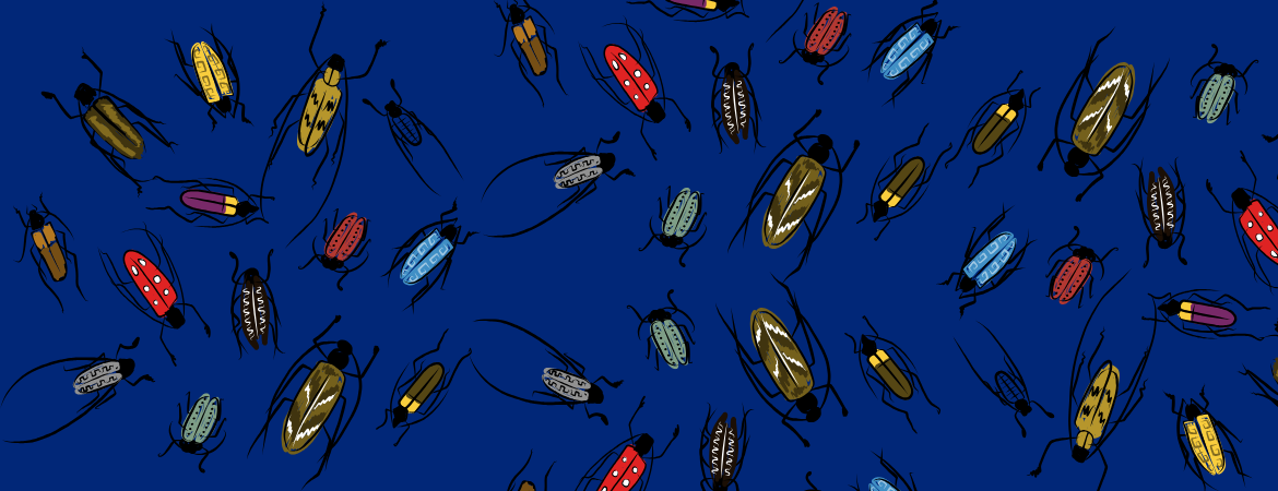blue background with different insects.