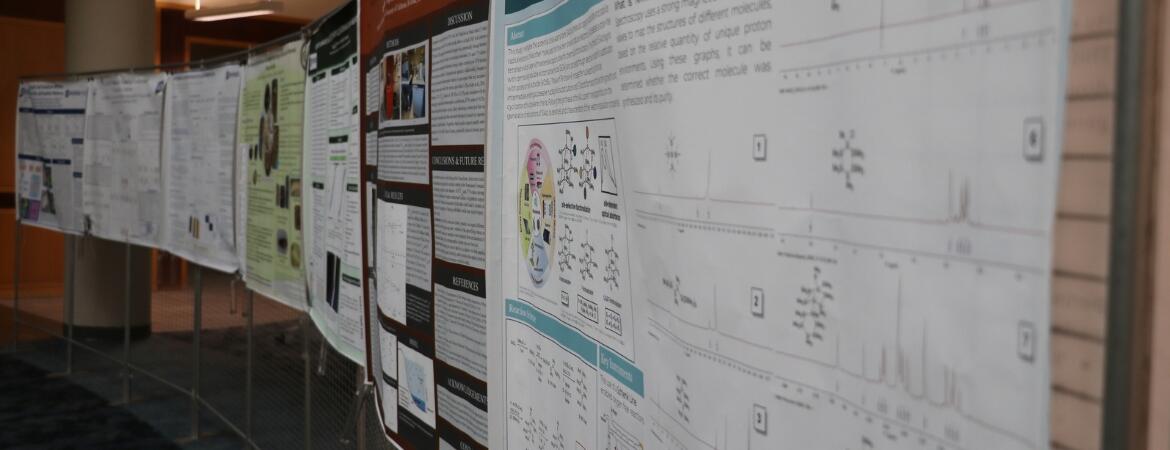 RISE poster exhibit showing a row of posters in Orbach Library