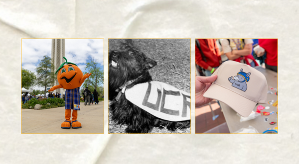A horizontal banner features three side-by-side images showcasing historical and alternative mascots for UC Riverside. On the left, a person in a Norm the Orange costume—a large orange with a green stem and blue plaid shorts—stands on a campus walkway with the Bell Tower in the background. The center image is a vintage black-and-white photograph of the original Scotty, a black Scottish Terrier wearing a cape labeled "UCR." The final image on the right shows a hand holding a tan baseball cap featuring a car