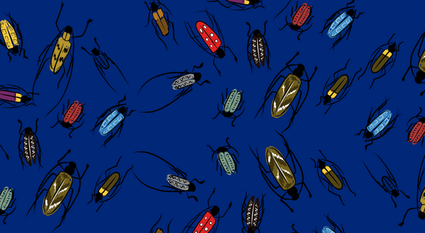 blue background with different insects.