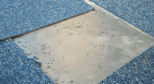 Blue speckled carpet tiles on a floor with one section removed, exposing the smooth gray subfloor and adhesive spots underneath.