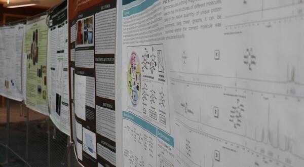 RISE poster exhibit showing a row of posters in Orbach Library